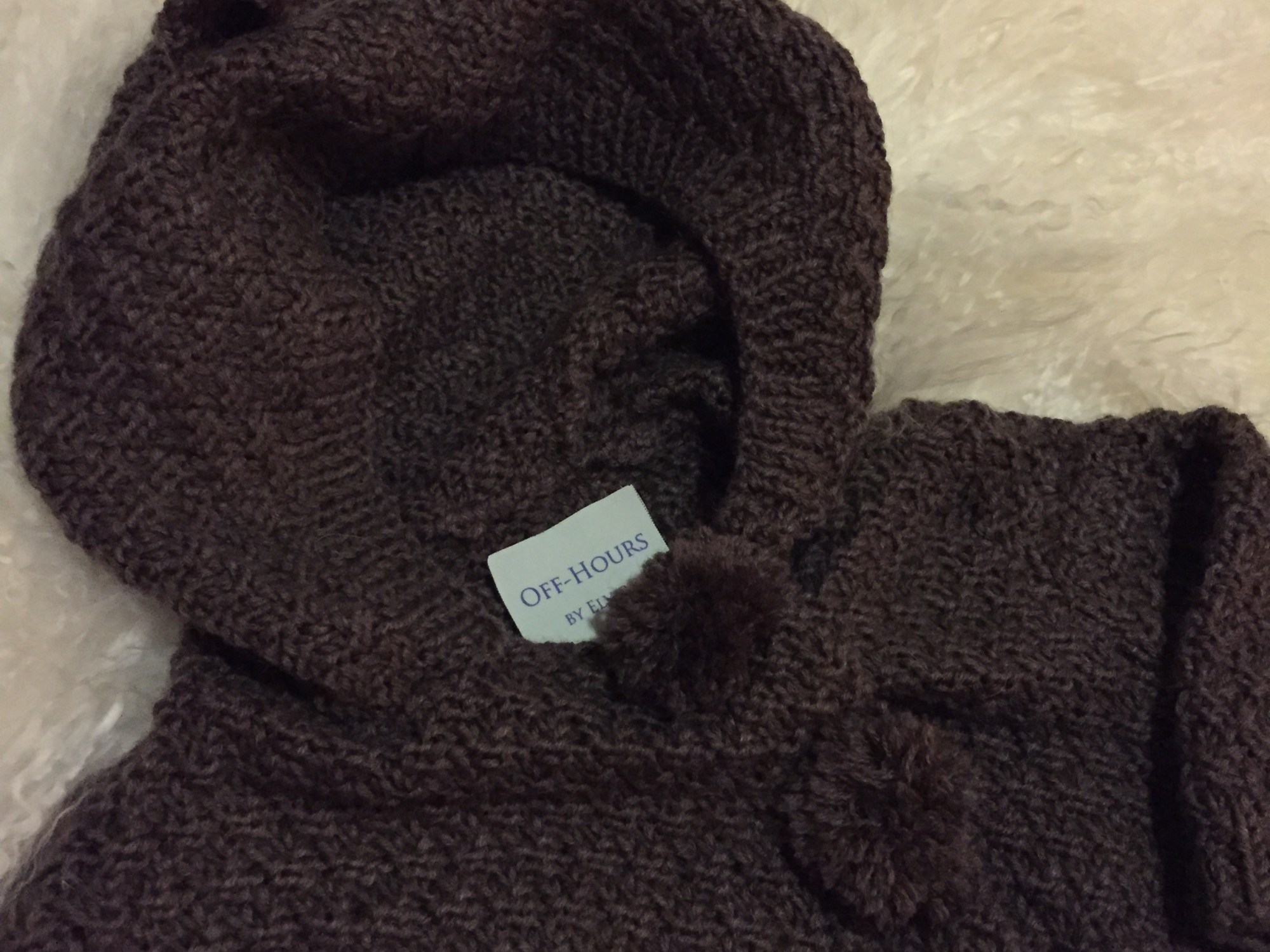 detail of hood with ears